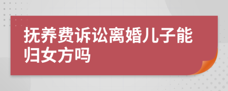 抚养费诉讼离婚儿子能归女方吗