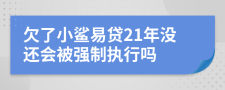 欠了小鲨易贷21年没还会被强制执行吗