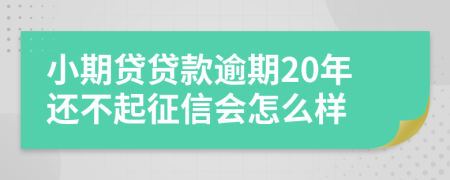 小期贷贷款逾期20年还不起征信会怎么样