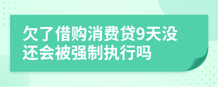 欠了借购消费贷9天没还会被强制执行吗