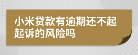 小米贷款有逾期还不起起诉的风险吗