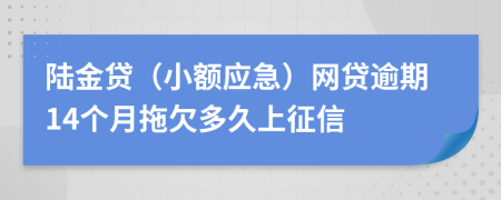 陆金贷（小额应急）网贷逾期14个月拖欠多久上征信