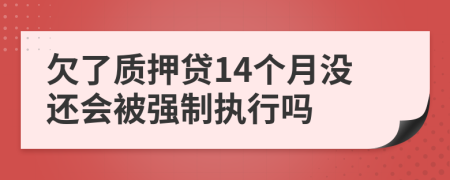 欠了质押贷14个月没还会被强制执行吗