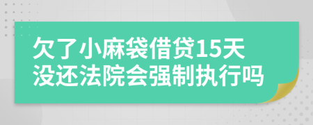 欠了小麻袋借贷15天没还法院会强制执行吗