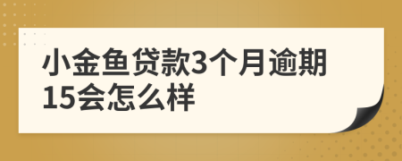 小金鱼贷款3个月逾期15会怎么样