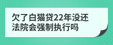 欠了白猫贷22年没还法院会强制执行吗