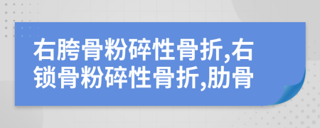 右胯骨粉碎性骨折,右锁骨粉碎性骨折,肋骨