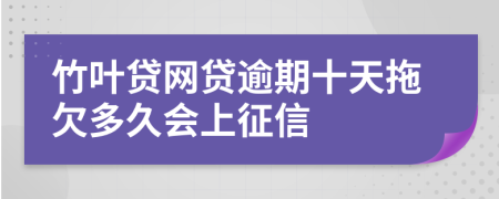 竹叶贷网贷逾期十天拖欠多久会上征信