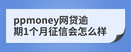 ppmoney网贷逾期1个月征信会怎么样