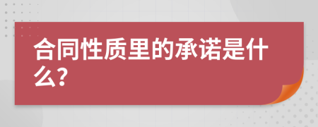 合同性质里的承诺是什么？