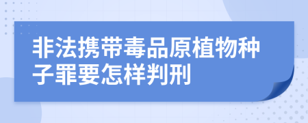 非法携带毒品原植物种子罪要怎样判刑