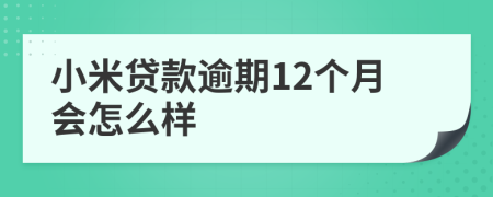 小米贷款逾期12个月会怎么样