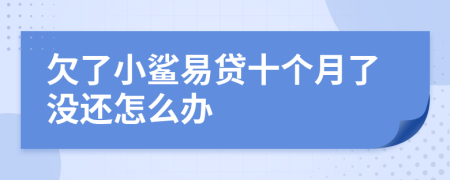 欠了小鲨易贷十个月了没还怎么办