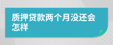 质押贷款两个月没还会怎样