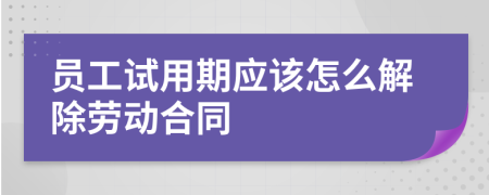 员工试用期应该怎么解除劳动合同