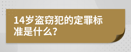 14岁盗窃犯的定罪标准是什么？