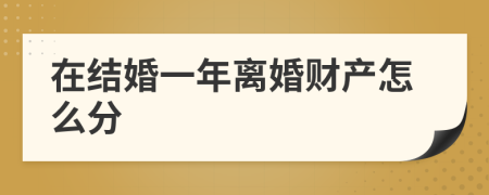 在结婚一年离婚财产怎么分