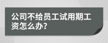 公司不给员工试用期工资怎么办？