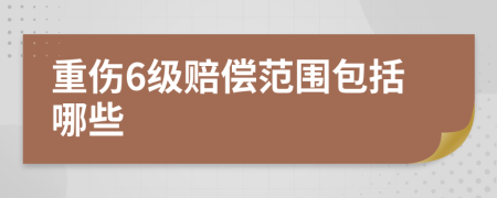 重伤6级赔偿范围包括哪些