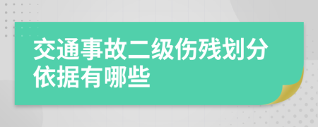 交通事故二级伤残划分依据有哪些