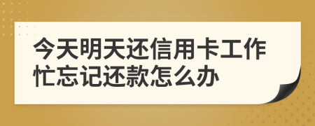 今天明天还信用卡工作忙忘记还款怎么办
