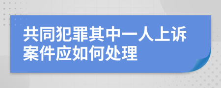 共同犯罪其中一人上诉案件应如何处理