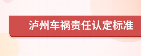 泸州车祸责任认定标准