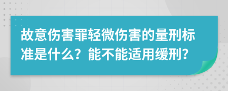 故意伤害罪轻微伤害的量刑标准是什么？能不能适用缓刑？