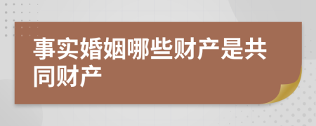 事实婚姻哪些财产是共同财产