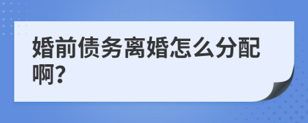 婚前债务离婚怎么分配啊？