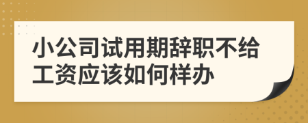 小公司试用期辞职不给工资应该如何样办