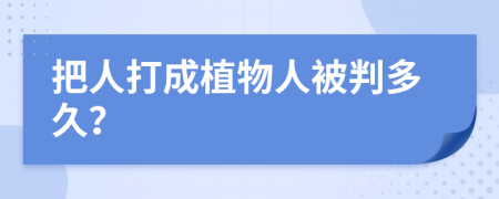 把人打成植物人被判多久？