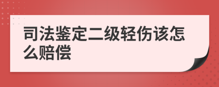 司法鉴定二级轻伤该怎么赔偿