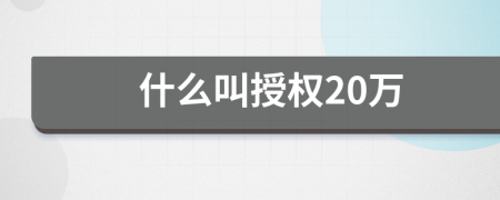 什么叫授权20万