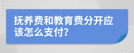 抚养费和教育费分开应该怎么支付？