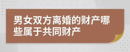 男女双方离婚的财产哪些属于共同财产