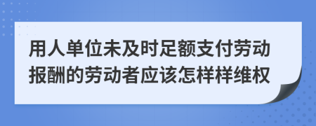 用人单位未及时足额支付劳动报酬的劳动者应该怎样样维权