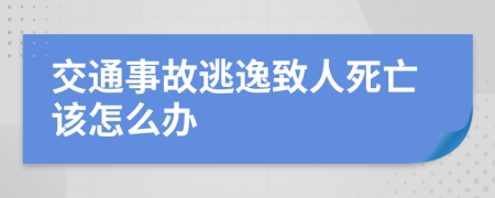 交通事故逃逸致人死亡该怎么办