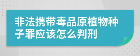 非法携带毒品原植物种子罪应该怎么判刑