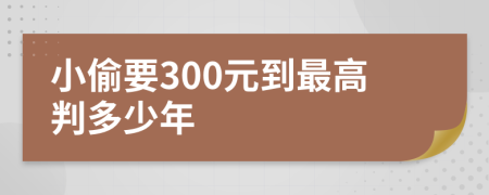 小偷要300元到最高判多少年