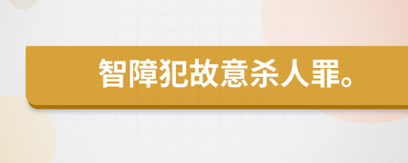 智障犯故意杀人罪。