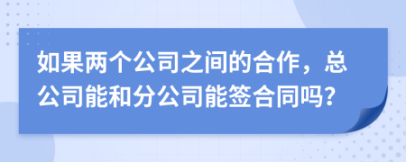 如果两个公司之间的合作，总公司能和分公司能签合同吗？