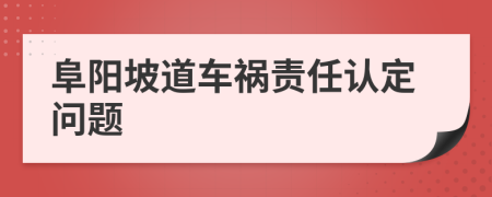 阜阳坡道车祸责任认定问题