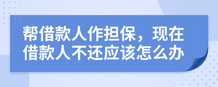 帮借款人作担保，现在借款人不还应该怎么办