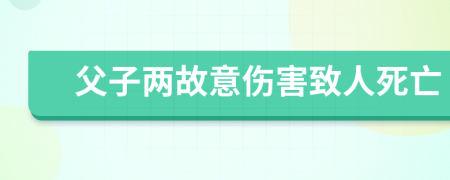 父子两故意伤害致人死亡