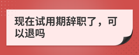 现在试用期辞职了，可以退吗