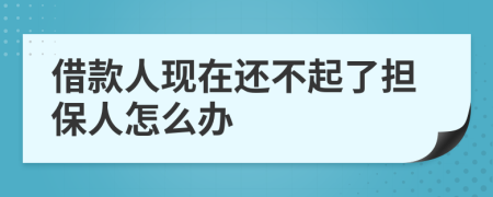 借款人现在还不起了担保人怎么办