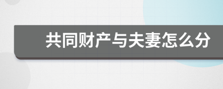共同财产与夫妻怎么分