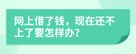 网上借了钱，现在还不上了要怎样办？