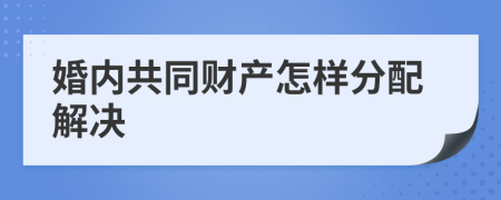 婚内共同财产怎样分配解决